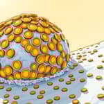 El Poder del Interés Compuesto: El Secreto para Duplicar tu Patrimonio